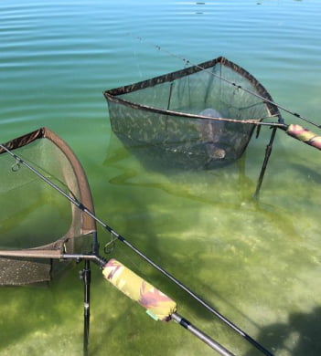 Two carp nets in the water