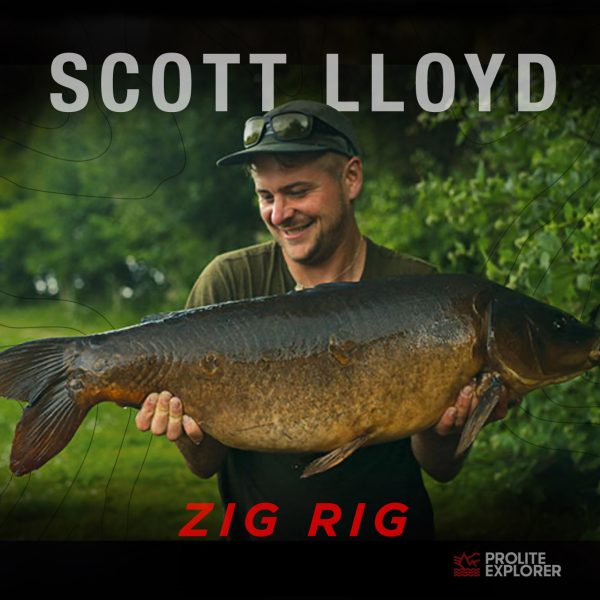 RIG BOARD | SCOTT LLOYD 'FIXED ZIG RIG'