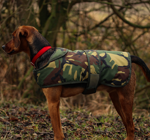 COTSWOLD AQUARIUS | DOG JACKET