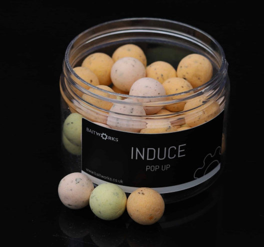 BAITWORKS | 15MM INDUCE POP UPS - IN STORE ONLY