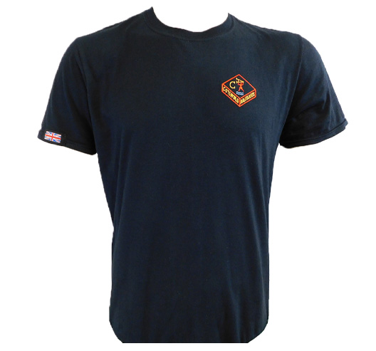 COTSWOLD AQUARIUS | BLACK T-SHIRT