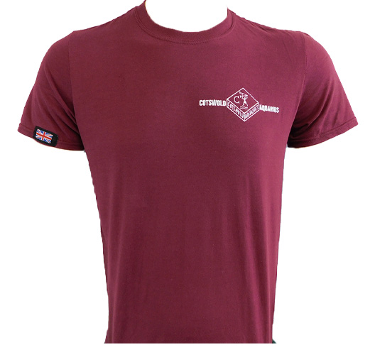 COTSWOLD AQUARIUS | BURGUNDY T-SHIRT
