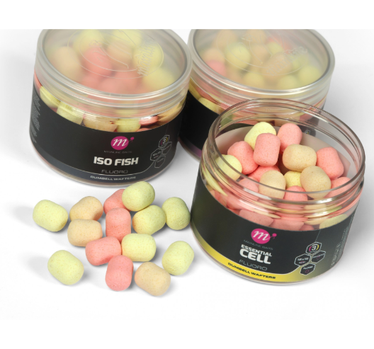 MAINLINE | FLURO WAFTERS